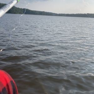 Meet your Posher, Grant